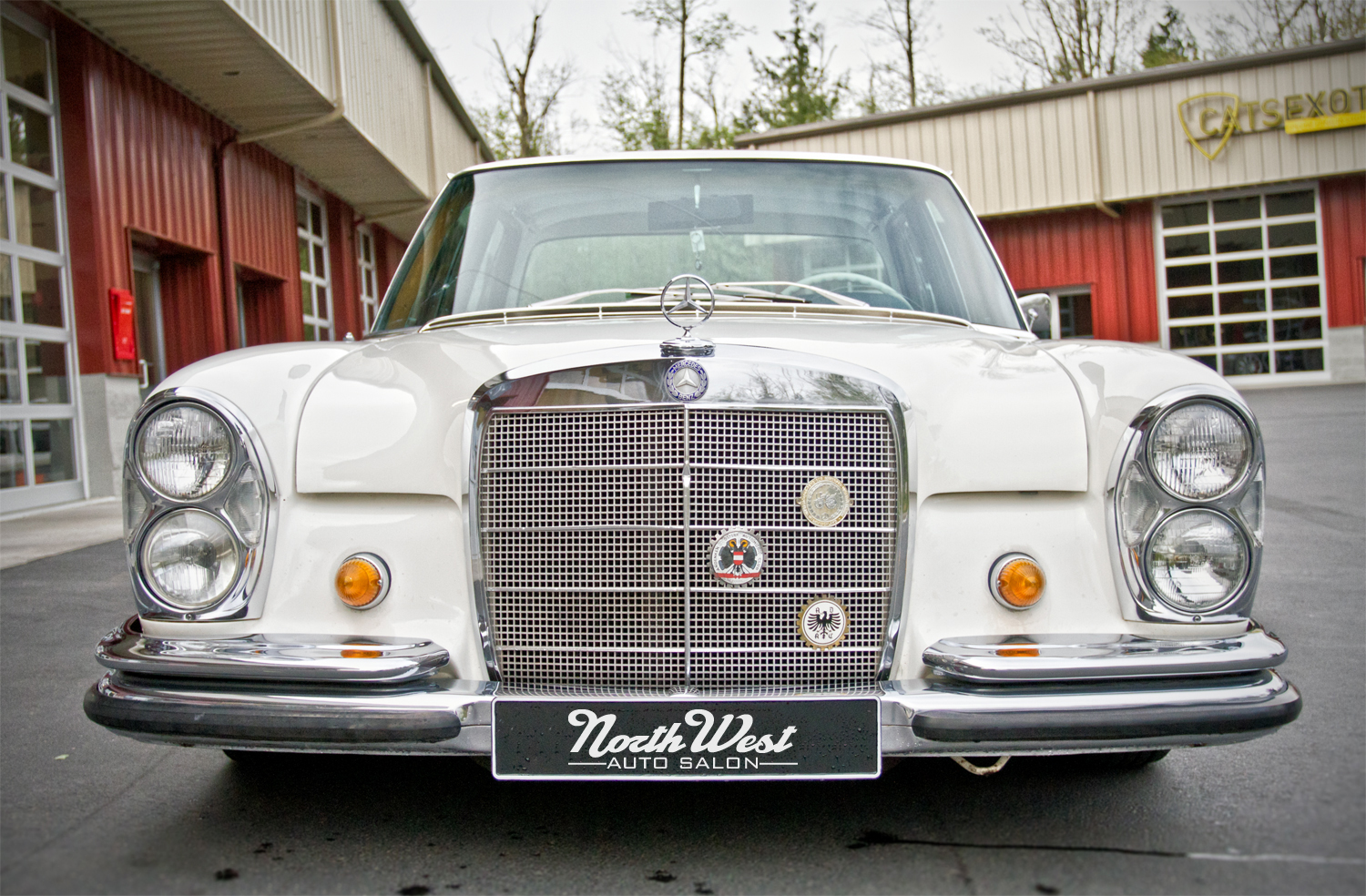 NWAS Lynnwood auto detail vintage Mercedes 250 S